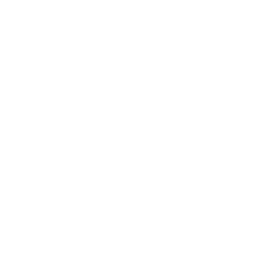 DVM International distribution network